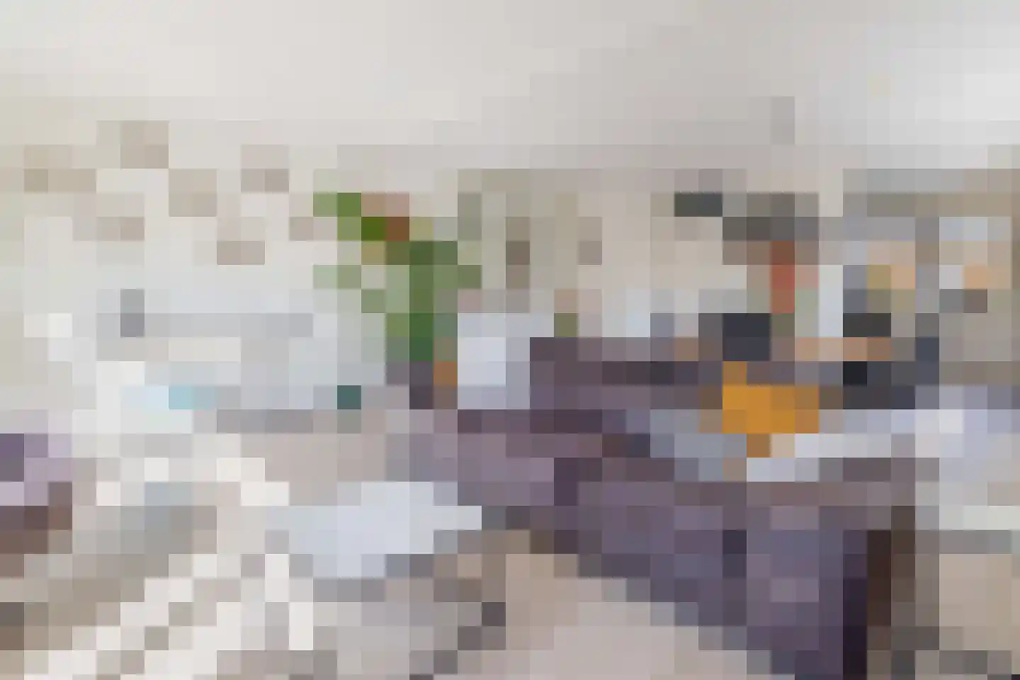 De wiezeboom 18 Steenwijk thumbnail 8