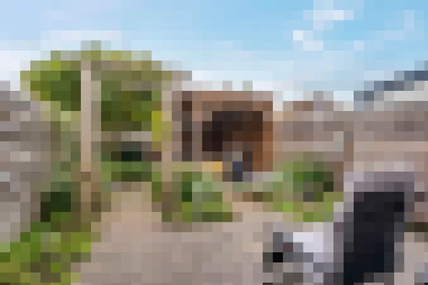 De wiezeboom 24 Steenwijk thumbnail 25