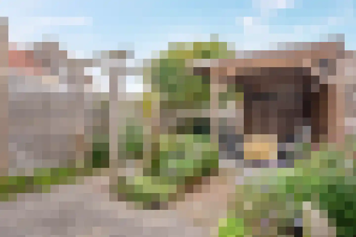 De wiezeboom 24 Steenwijk thumbnail 27