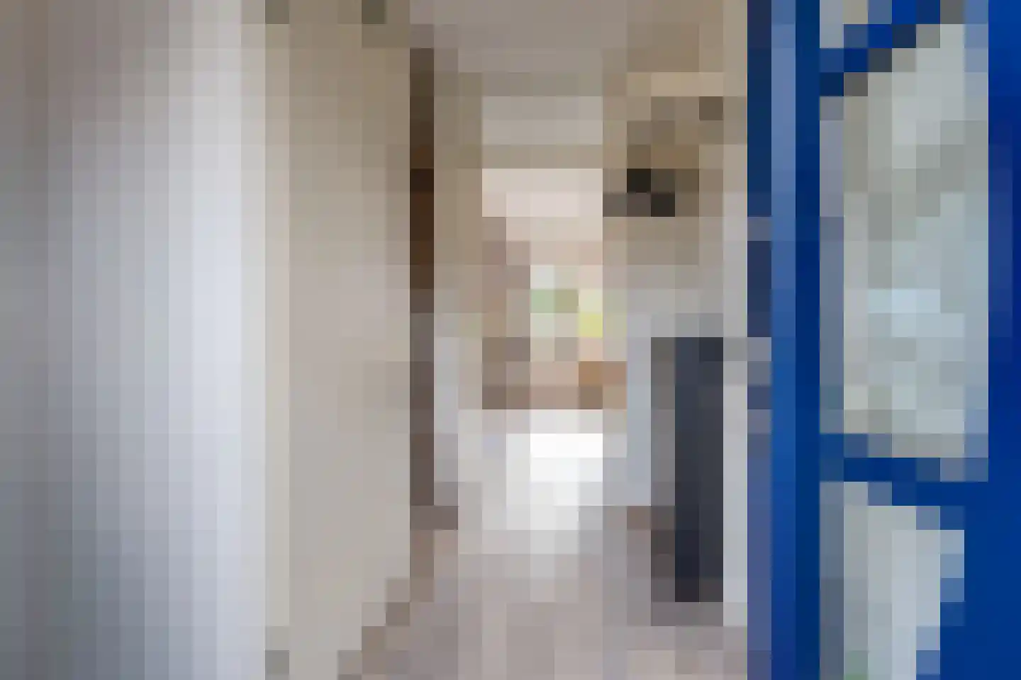 De wiezeboom 24 Steenwijk thumbnail 4