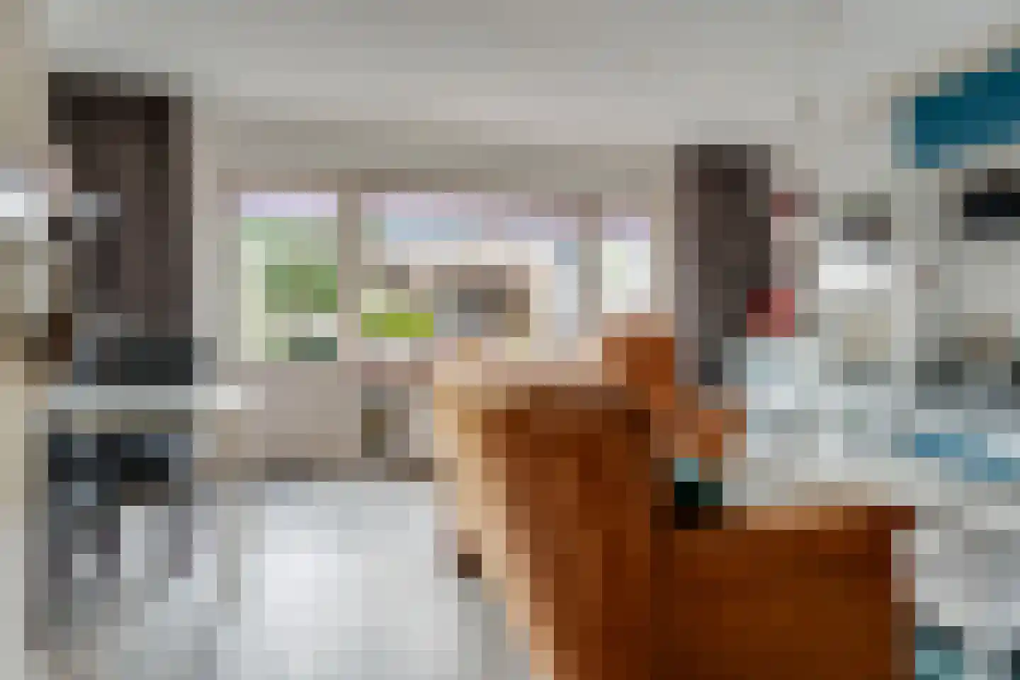 De wiezeboom 24 Steenwijk thumbnail 6