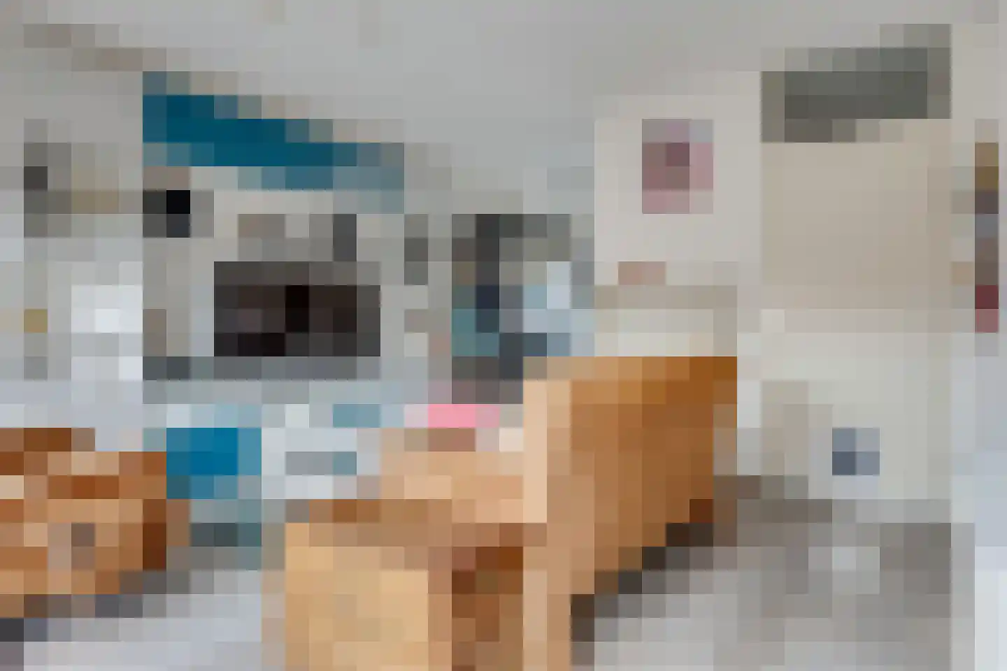 De wiezeboom 24 Steenwijk thumbnail 7