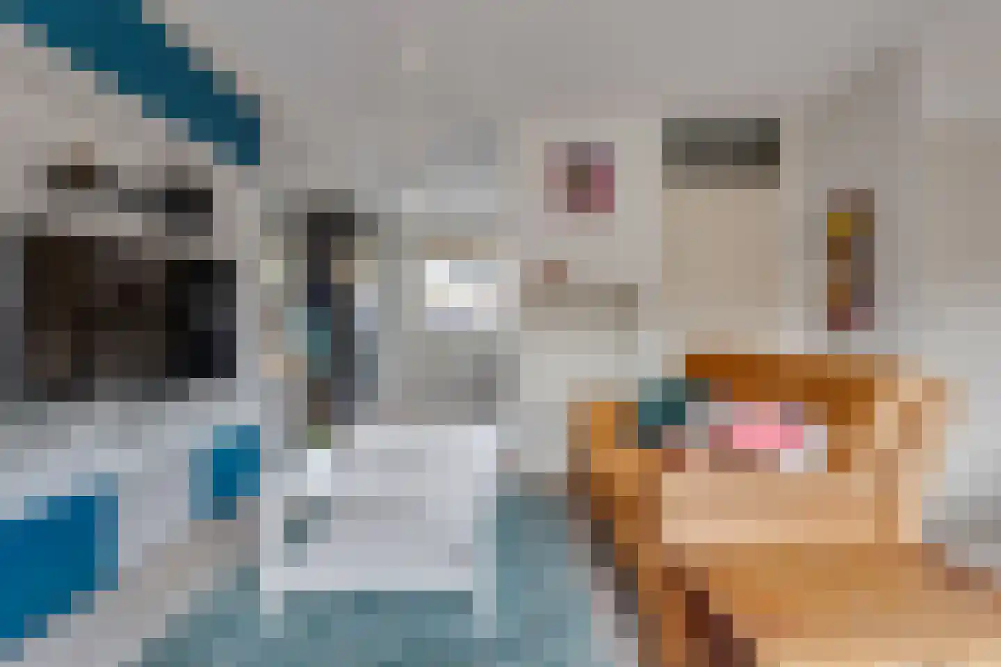 De wiezeboom 24 Steenwijk thumbnail 9