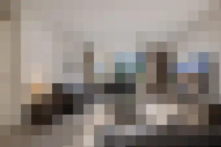 De wiezeboom 55 Steenwijk thumbnail 11