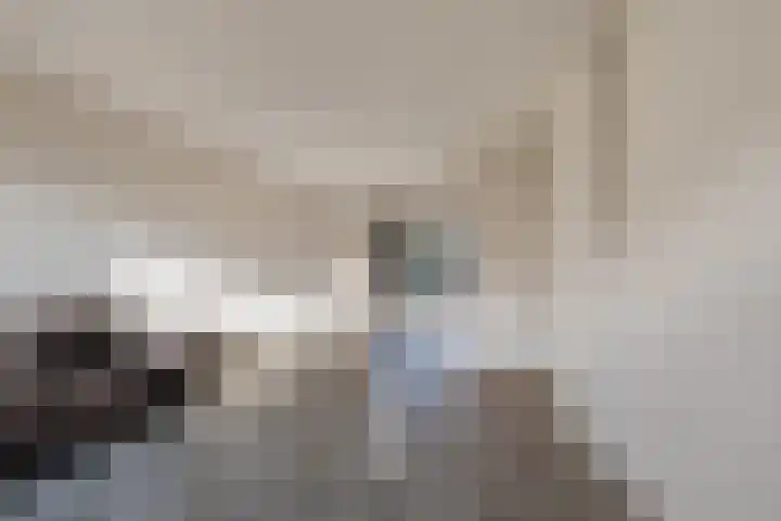 De wiezeboom 55 Steenwijk thumbnail 12
