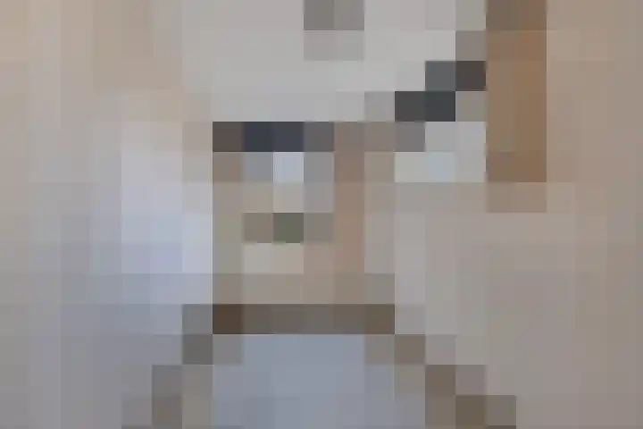 De wiezeboom 55 Steenwijk thumbnail 19