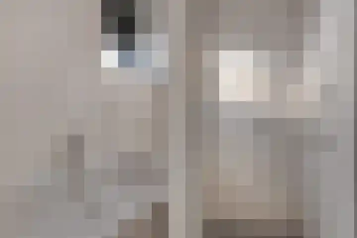 De wiezeboom 55 Steenwijk thumbnail 21