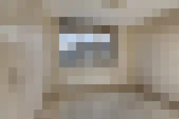 De wiezeboom 55 Steenwijk thumbnail 23
