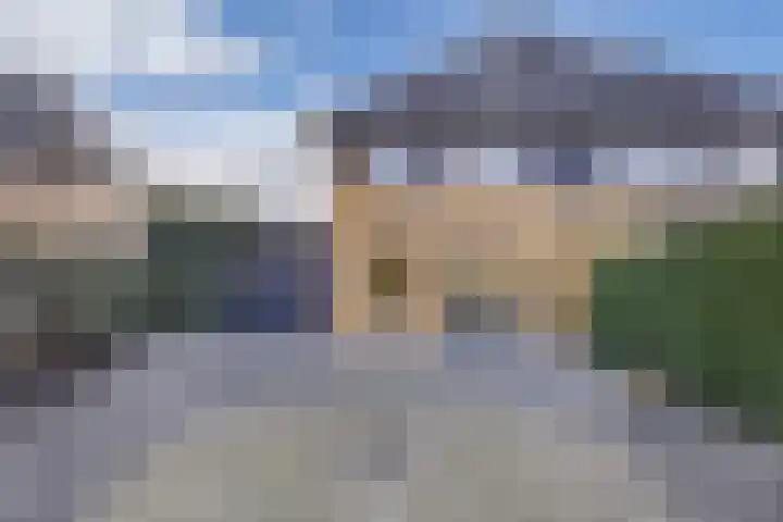 De wiezeboom 55 Steenwijk thumbnail 27