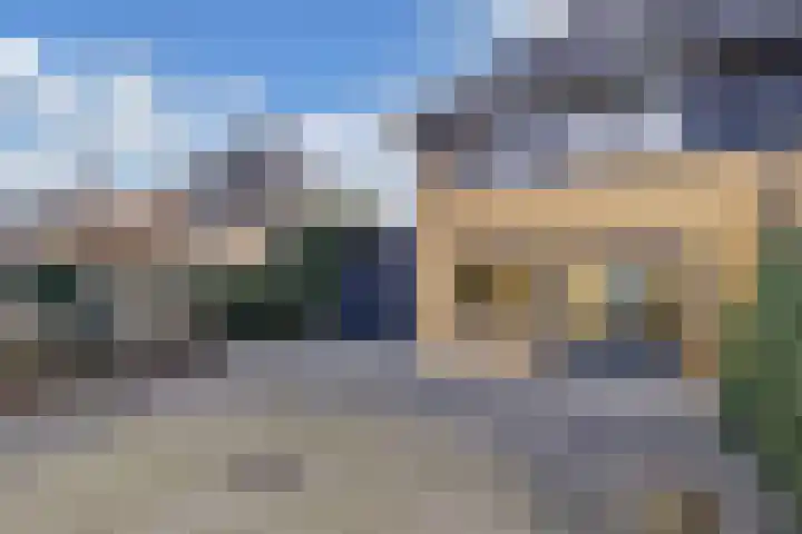 De wiezeboom 55 Steenwijk thumbnail 28