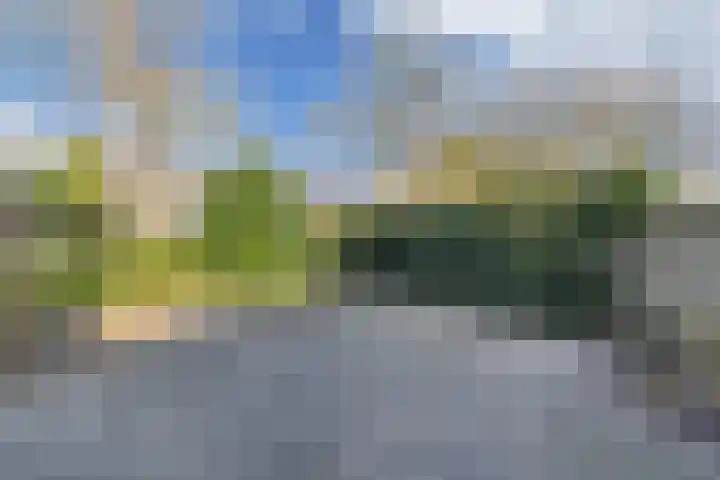 De wiezeboom 55 Steenwijk thumbnail 29