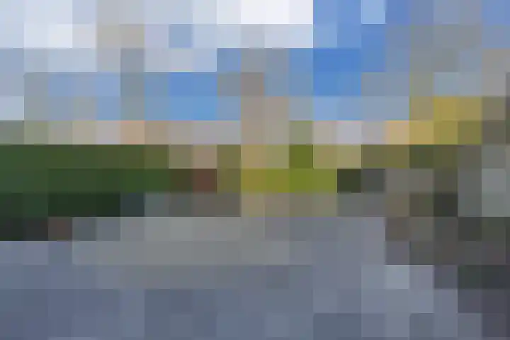 De wiezeboom 55 Steenwijk thumbnail 30
