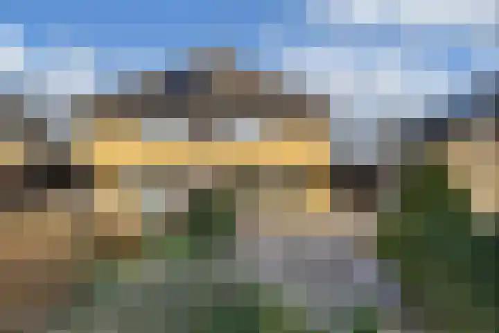 De wiezeboom 55 Steenwijk thumbnail 31