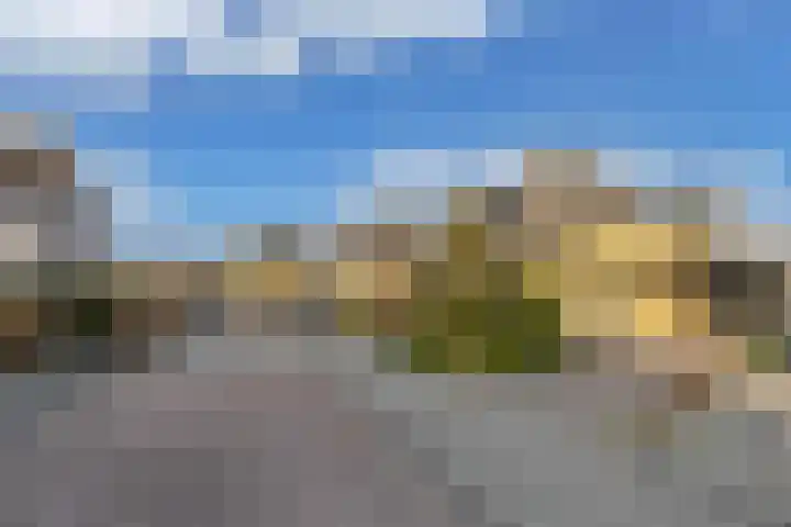De wiezeboom 55 Steenwijk thumbnail 32