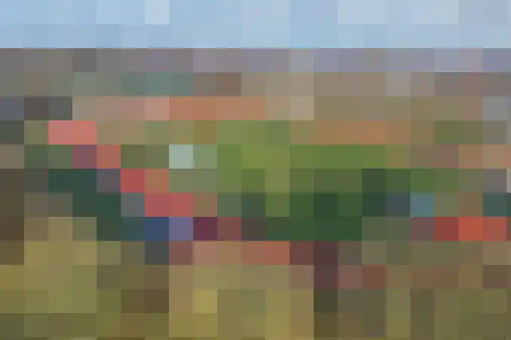De wiezeboom 55 Steenwijk thumbnail 34