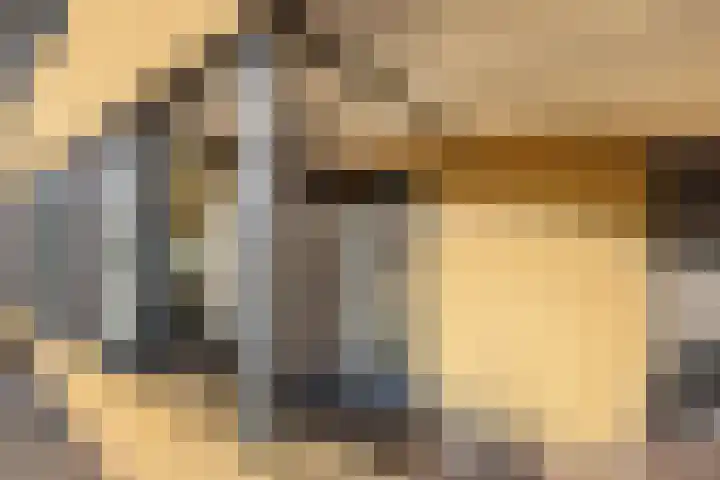 De wiezeboom 55 Steenwijk thumbnail 4