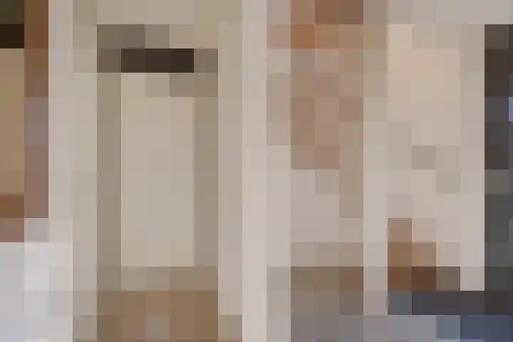 De wiezeboom 55 Steenwijk thumbnail 6