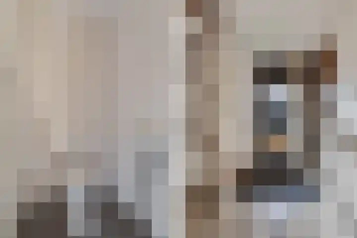De wiezeboom 55 Steenwijk thumbnail 7