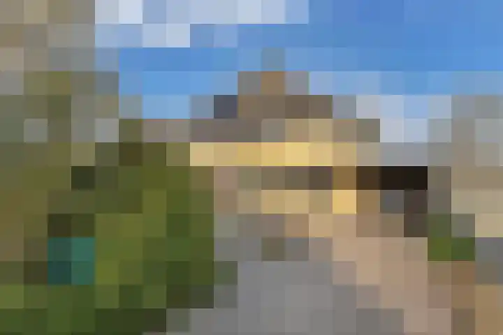 De wiezeboom 55 Steenwijk thumbnail 8