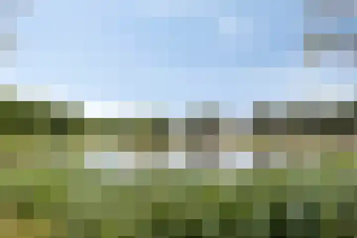 De Wigge 16 Volendam thumbnail 31