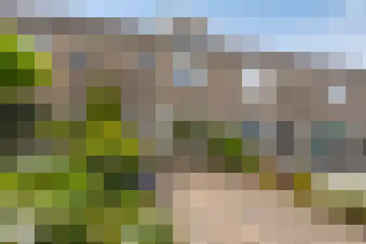De Wigge 16 Volendam thumbnail 5