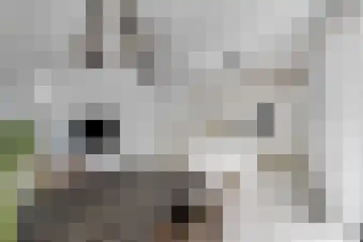 De Wijde Blik 18 Muntendam thumbnail 11