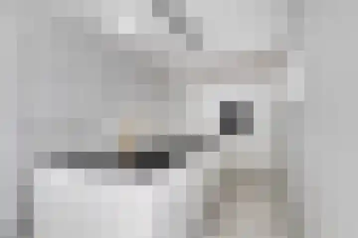 De Wijde Blik 18 Muntendam thumbnail 12