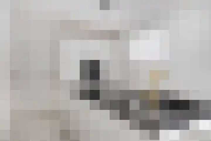 De Wijde Blik 18 Muntendam thumbnail 15