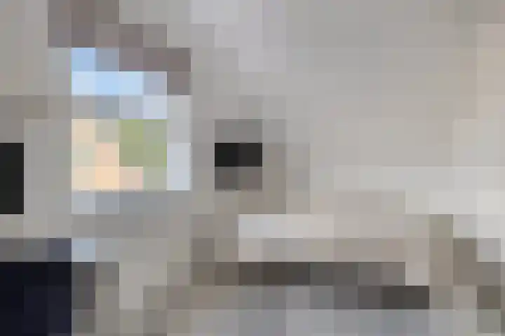 De Wijde Blik 18 Muntendam thumbnail 20