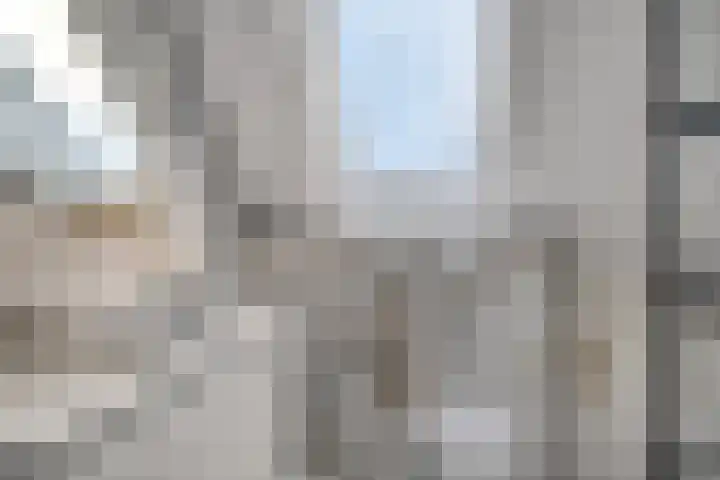 De Wijde Blik 18 Muntendam thumbnail 22