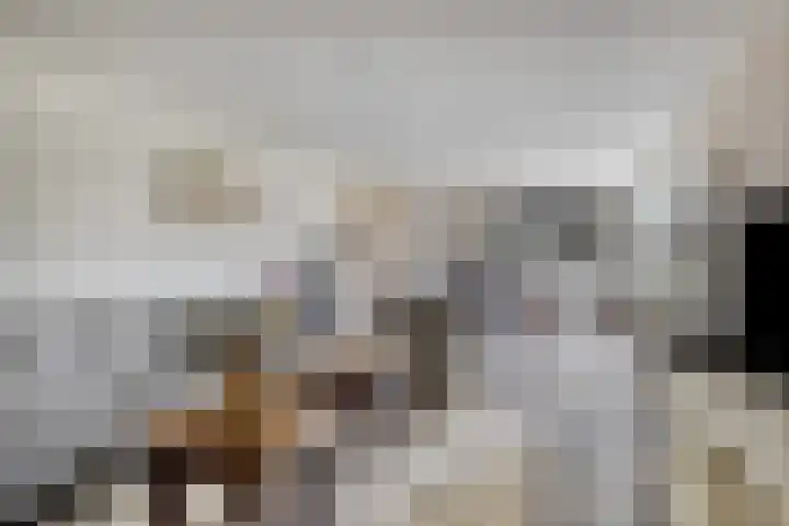 De Wijde Blik 18 Muntendam thumbnail 32