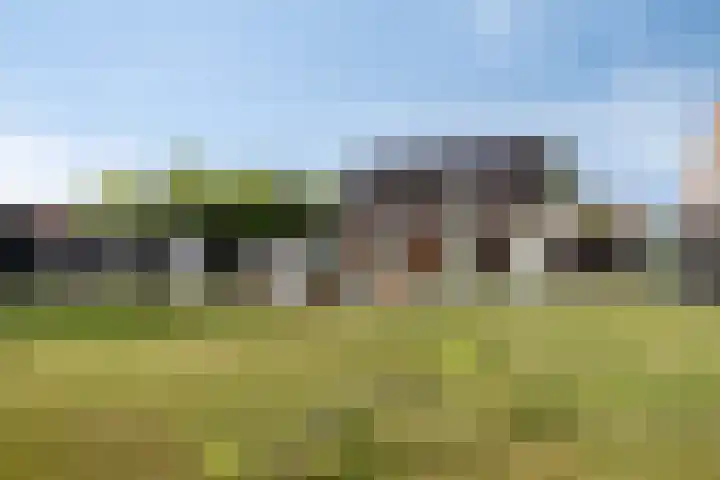 De Wijde Blik 18 Muntendam thumbnail 46