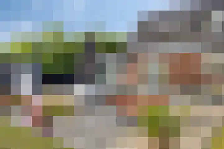 De Wijde Blik 18 Muntendam thumbnail 47
