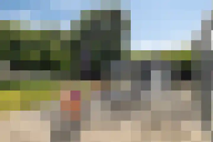 De Wijde Blik 18 Muntendam thumbnail 49
