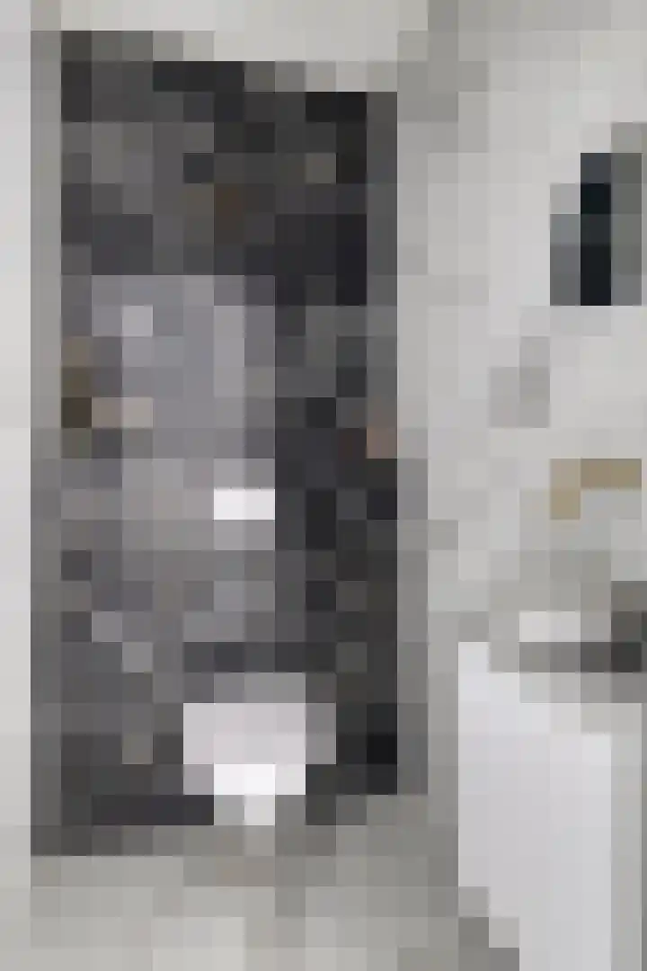 De Wijde Blik 18 Muntendam thumbnail 5