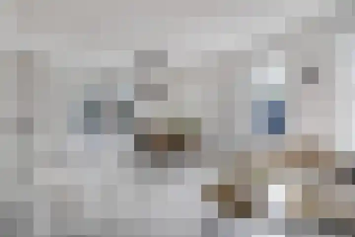 De Wijde Blik 18 Muntendam thumbnail 8