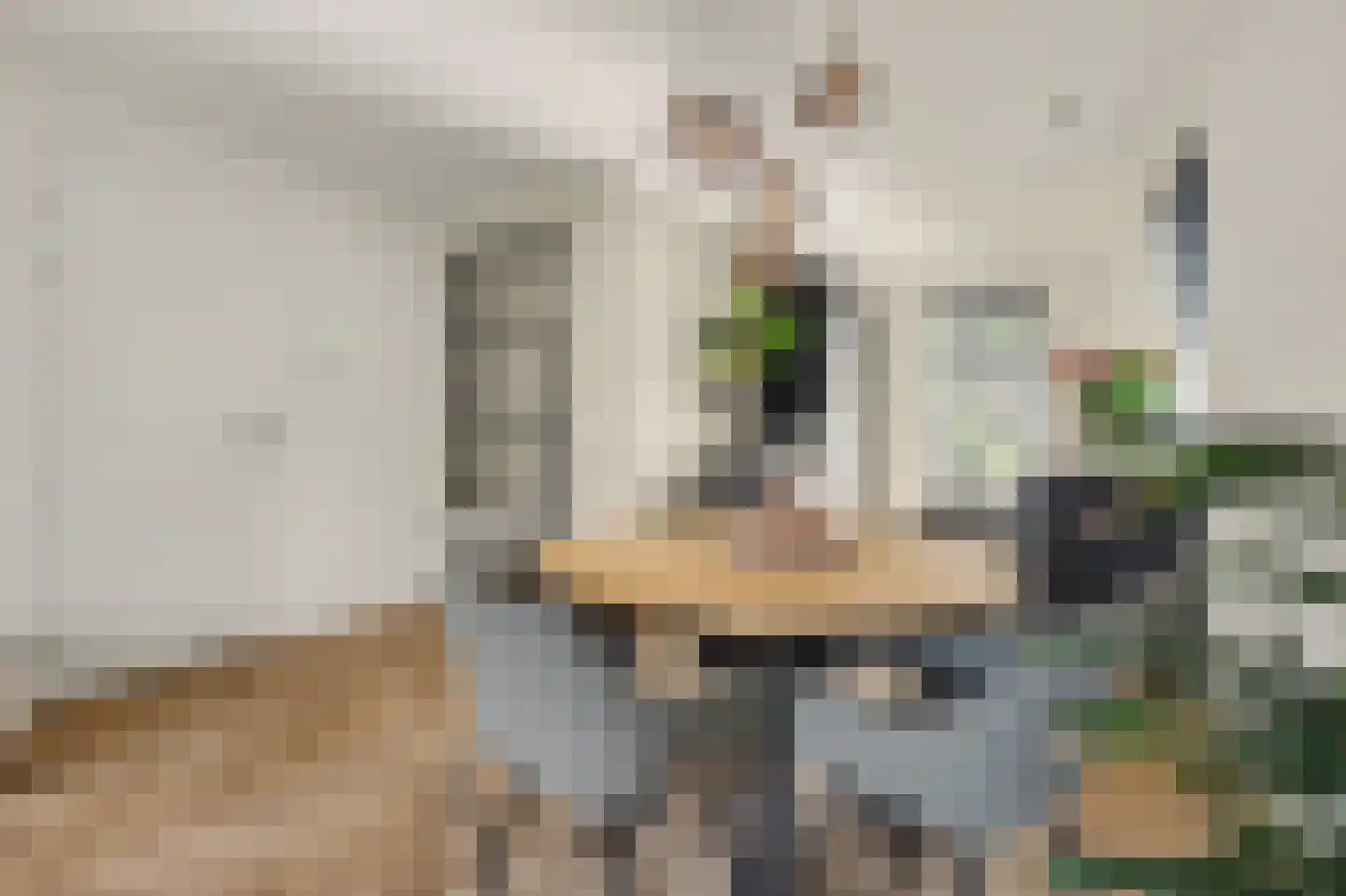 De Wijer 17 B Hapert thumbnail 15
