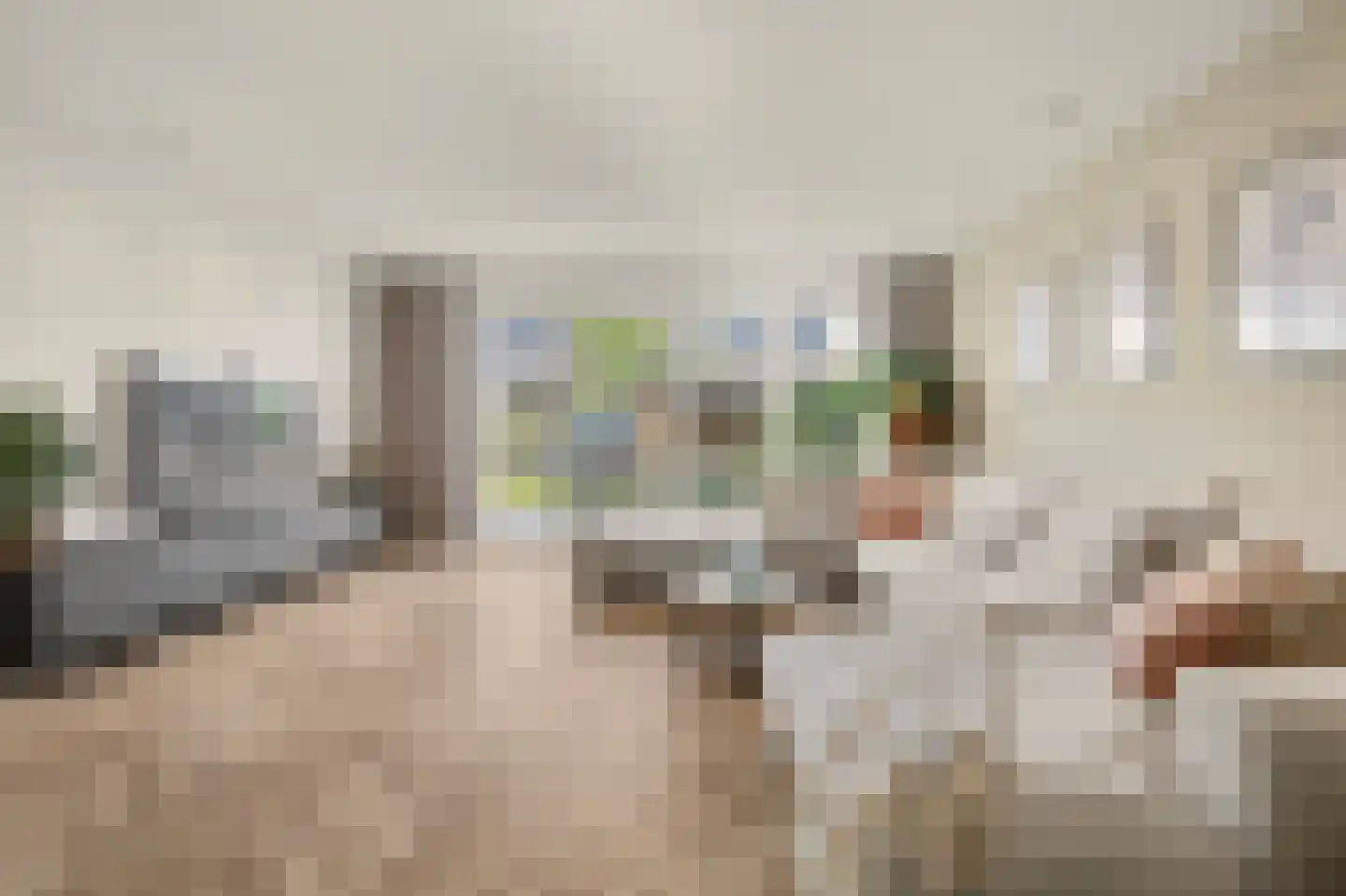 De Wijer 17 B Hapert thumbnail 4
