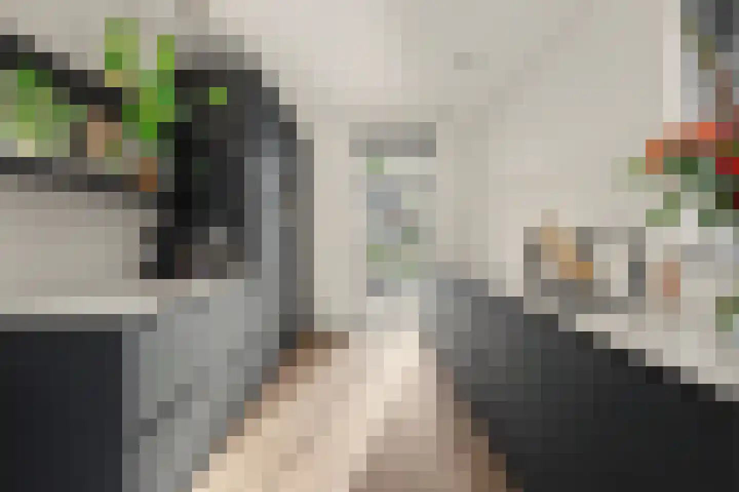 De Wijer 17 B Hapert thumbnail 5