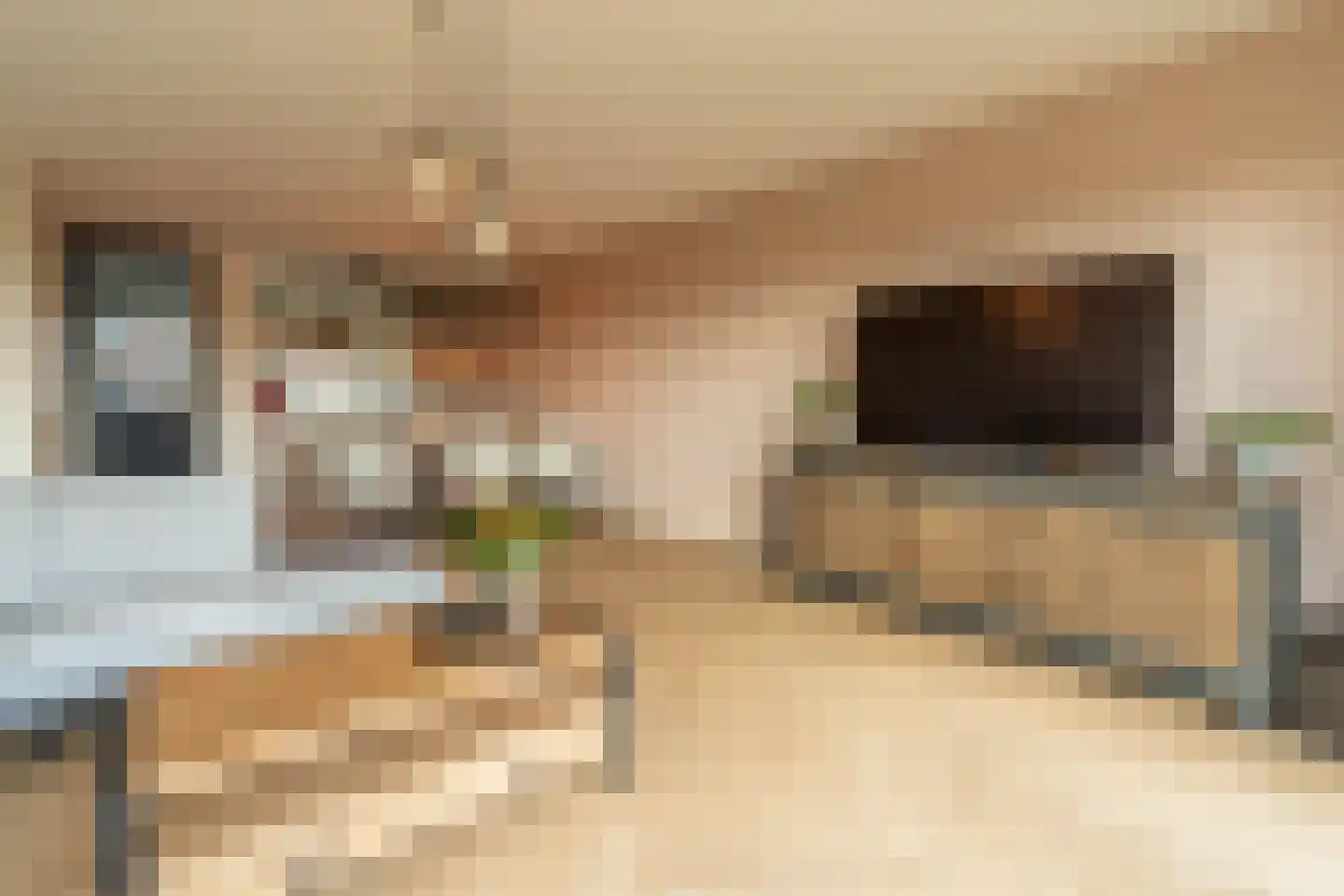 De Wijer 22 Oostrum thumbnail 11