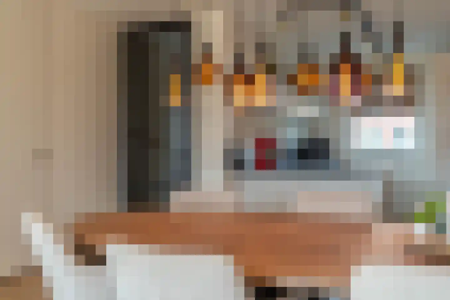 De Wijer 22 Oostrum thumbnail 14