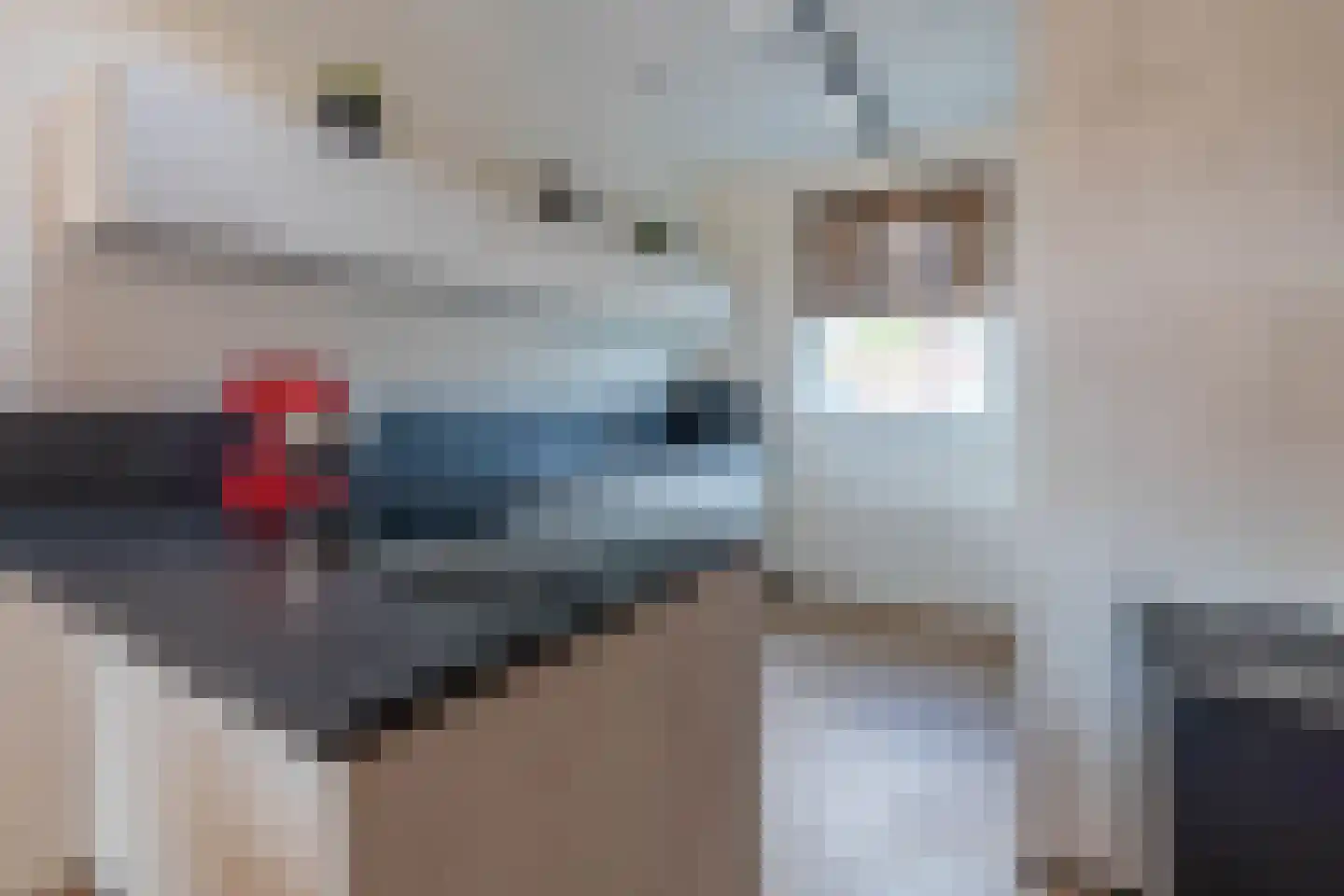De Wijer 22 Oostrum thumbnail 17