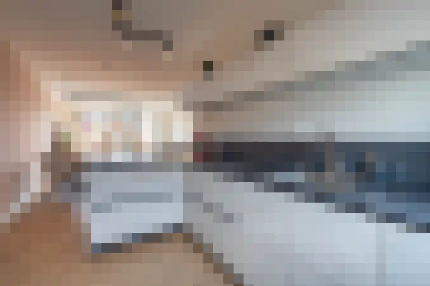 De Wijer 22 Oostrum thumbnail 18