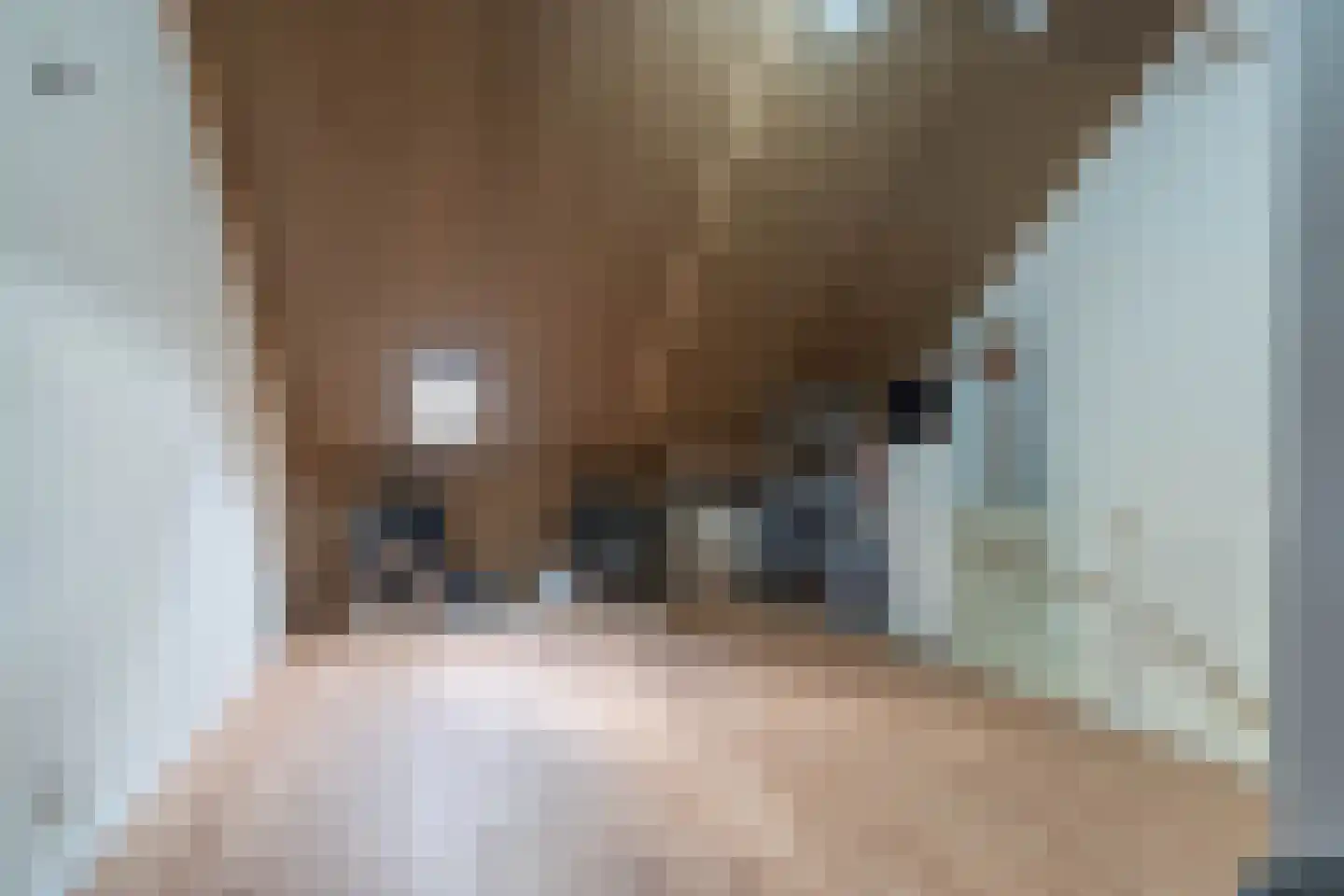 De Wijer 22 Oostrum thumbnail 37