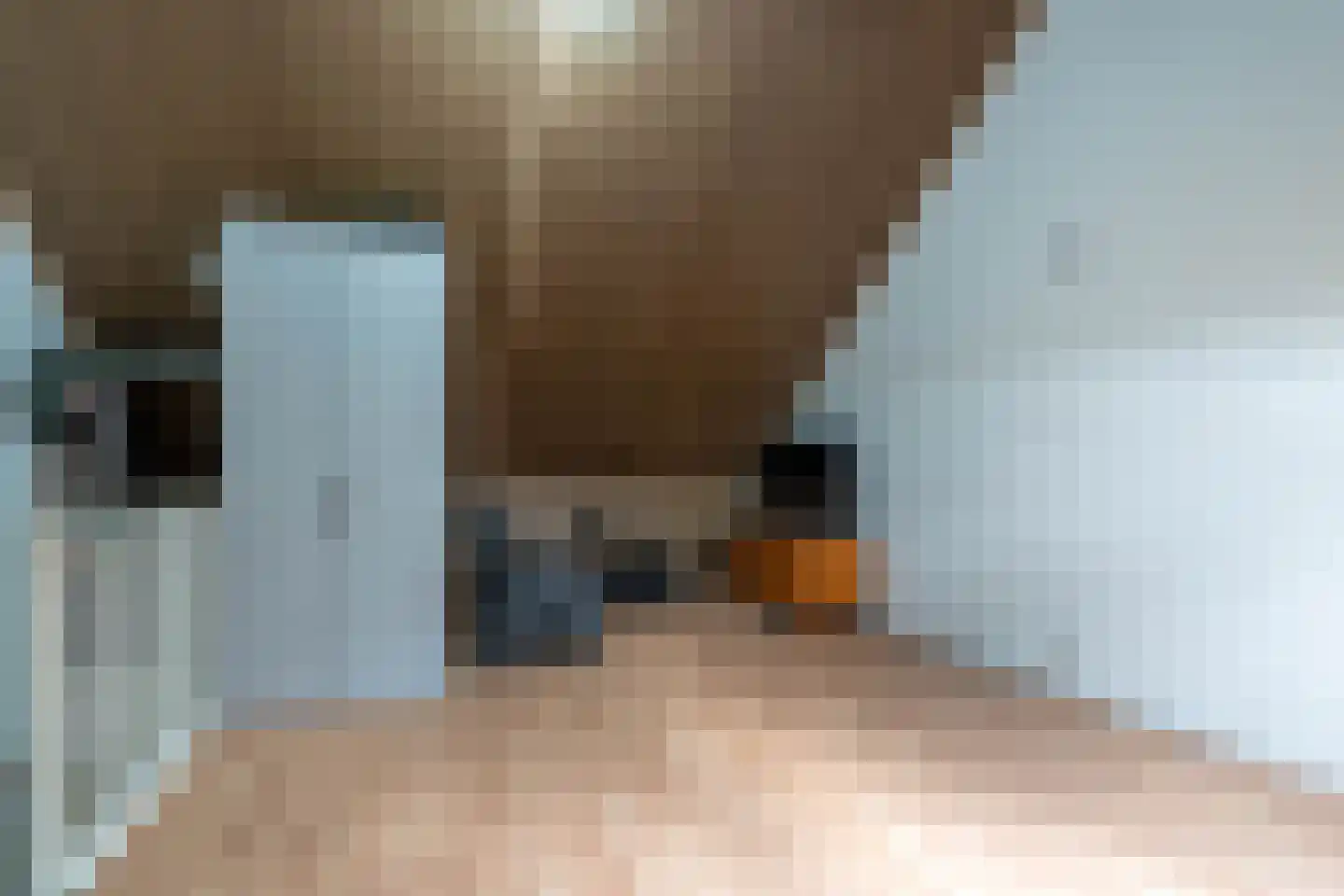 De Wijer 22 Oostrum thumbnail 38