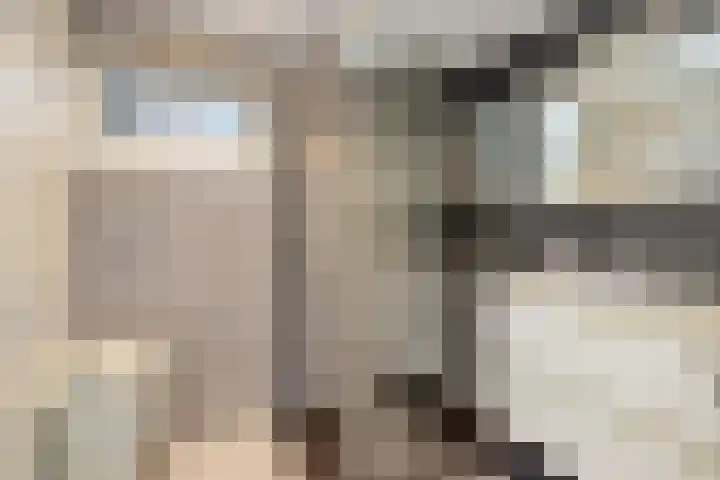 de Wijngaard 15 Rozenburg thumbnail 23