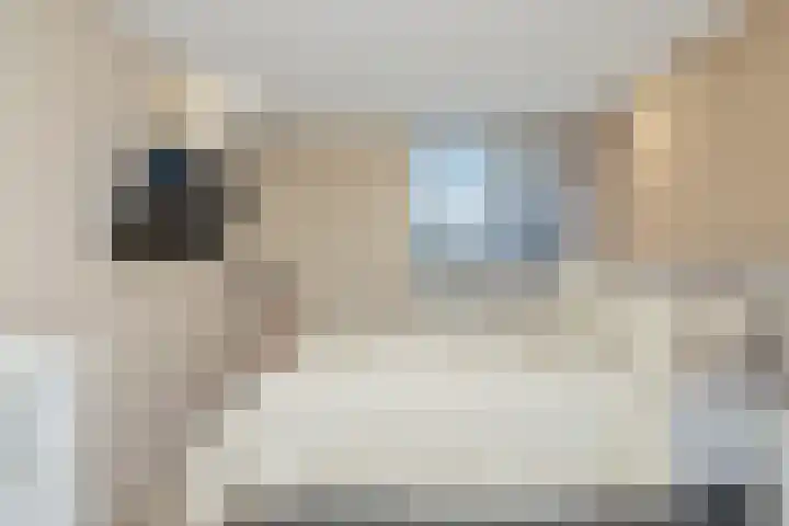 de Wijngaard 15 Rozenburg thumbnail 26