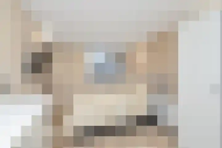 de Wijngaard 15 Rozenburg thumbnail 4