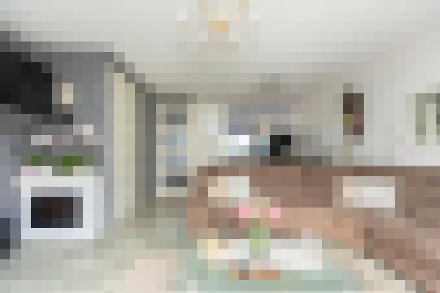 De Wijngaard 32 Kwintsheul thumbnail 11
