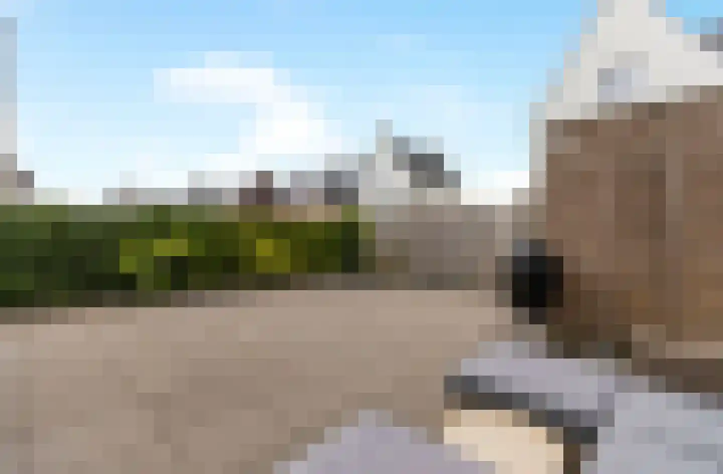 De Wijngaard 36 Kwintsheul thumbnail 41